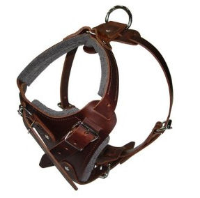 Hands Free Control Dog Harness for Pitbull