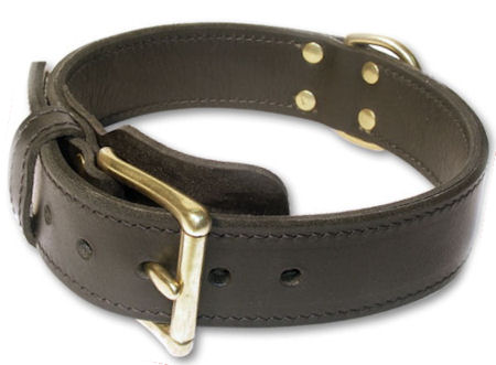 Heavy 2-Ply leather dog collar for Pitbull