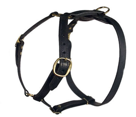 High Quality Collection Dog Harness similar petsmart for Pitbull
