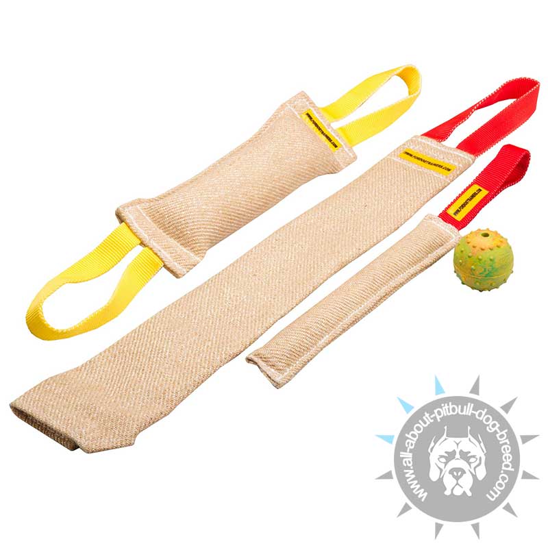 Durable Pitbull Bite Training Set