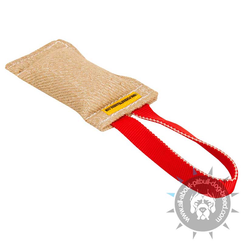 Puppy Jute Bite Tug