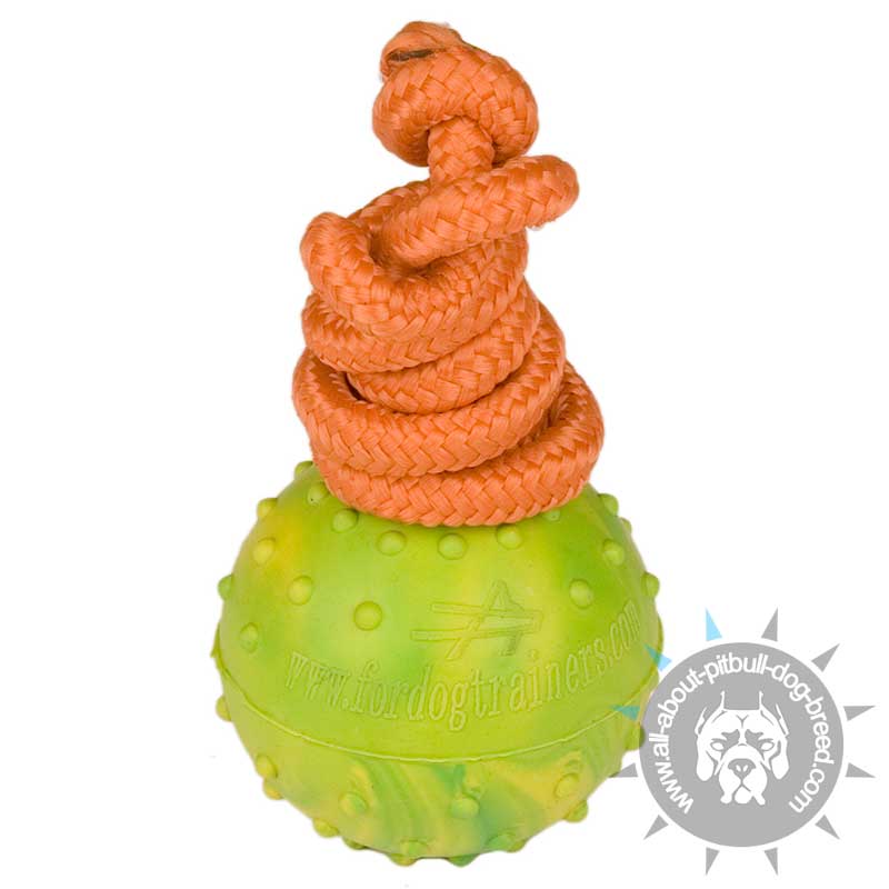 Middle Size Activity Rubber Dog Ball for Pitbull - 2 1/3 inch (6 cm)