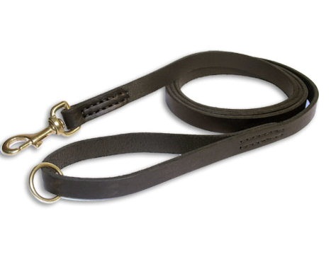 Get LEATHER AGITATION LEAD 72" for Pitbull Training