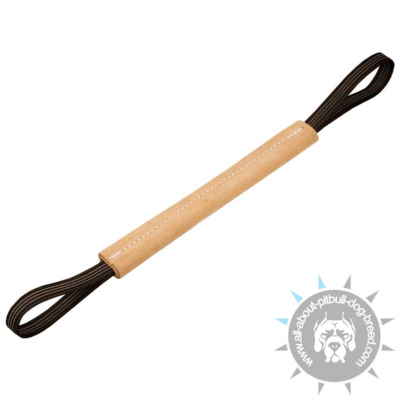 Hard Leather Bite Tug for Pitbull Puppy Training