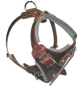 SIMILAR to Gappay Leather Defense Harness for Pitbull - Click Image to Close