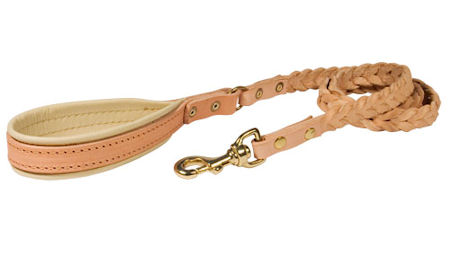 Leather 4 Foot Leash for Pitbull