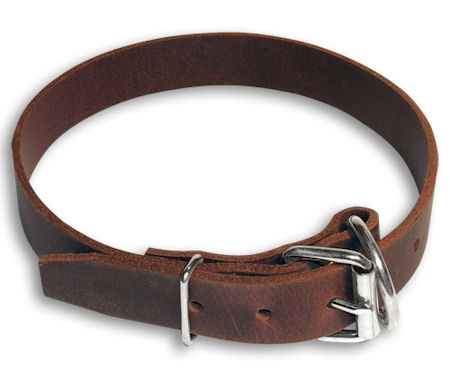 Leather Buckle Dog Collar Pitbull