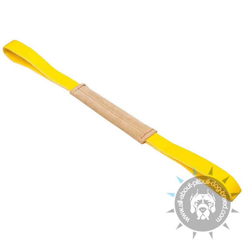 Small Soft Leather Tug with 2 Handles