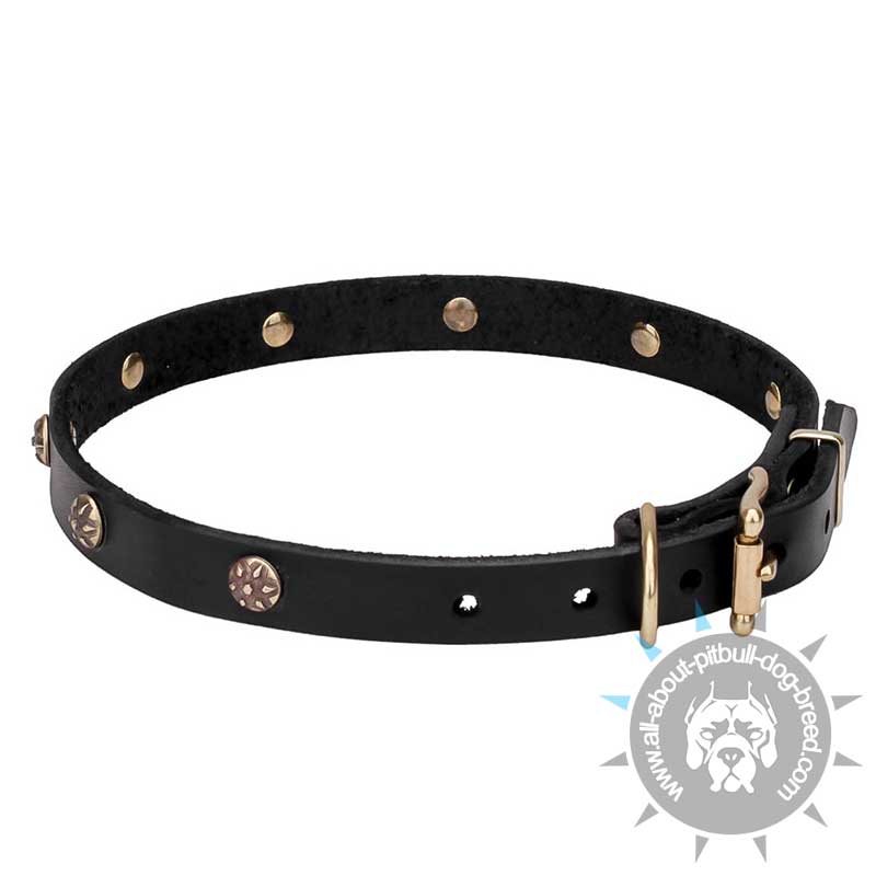 'Cloak and Sword' Leather Dog Collar with Engraved Round Studs