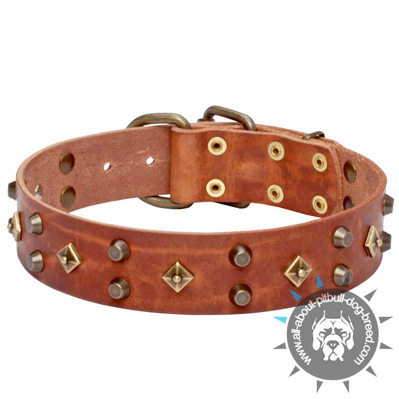 'Egypt Treasure' Leather Pitbull Collar with Mix of Brass and Old Bronze Decor