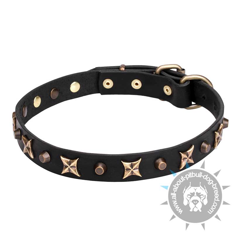 'Four Cornered Stars' Leather Pitbull Collar with Gold-like Decoration