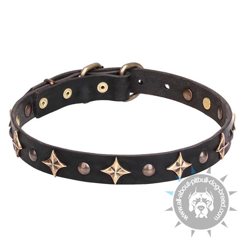 1 inch (25 mm) 'Milky Way' Leather Dog Collar with Old Bronze-plated Half-balls and Stars