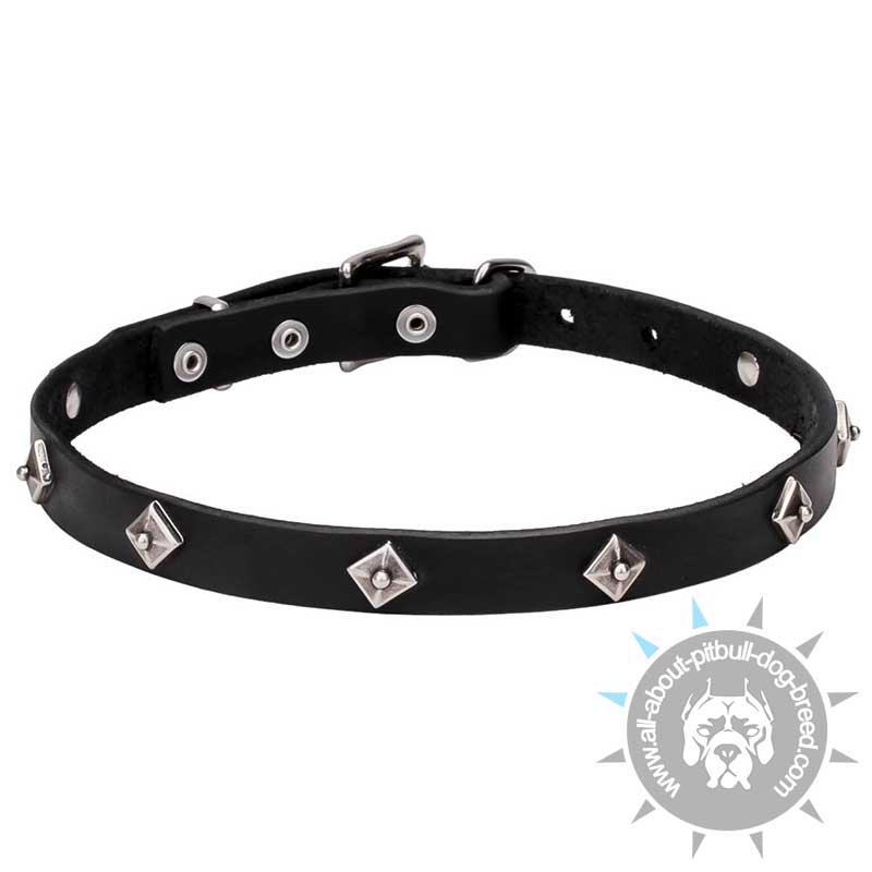 "Cosmic Stars" Narrow Leather Dog Collar with Chrome Plated Studs