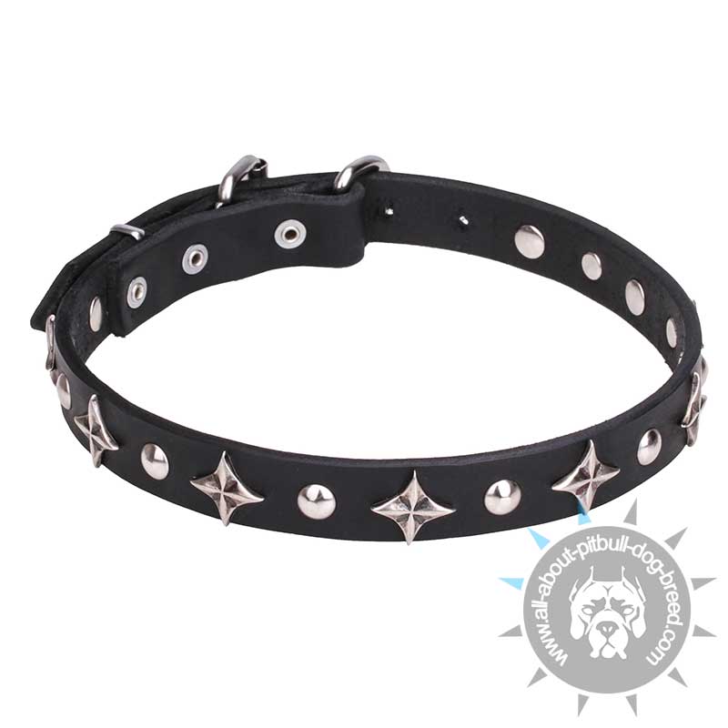 "Pleiades" 1 inch (25 mm) Leather Pitbull Collar with Shiny Stars and Studs