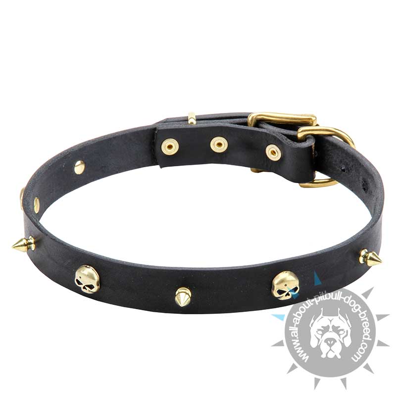 Posh Thin Leather Collar "Golden Pirate" - Click Image to Close