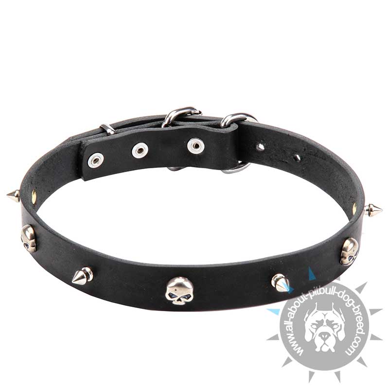 Unique Design Leather Collar with Spikes and Skulls