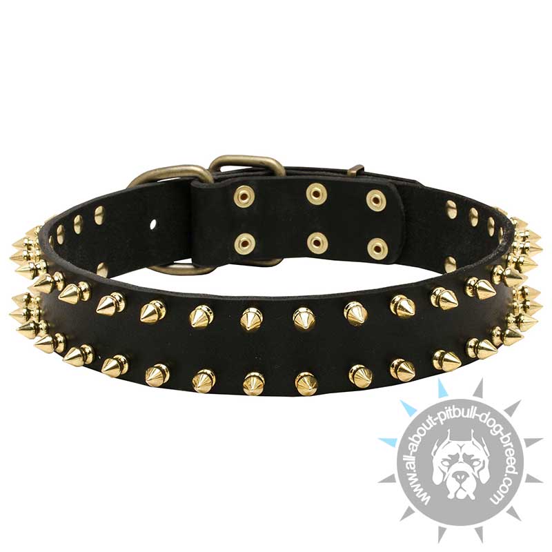"Unveiled Luxury" Spiked Leather Pitbull Collar