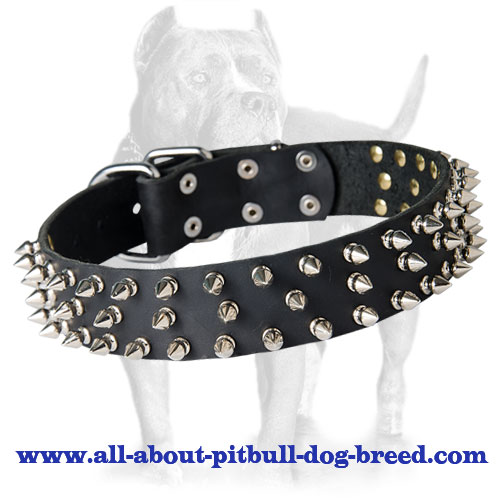 Top Quality Spiked Leather Collar with Nickel-plated Fittings - Click Image to Close