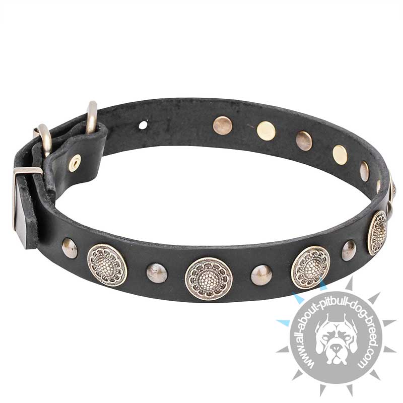 "Magic Necklace" 1 1/5 inch Wide Leather Dog Collar with Brass Engraved Circles and Small Studs - Click Image to Close