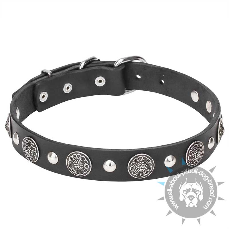 "Shiny Charm" Leather Dog Collar with Engraved Conchos and Small Half Balls