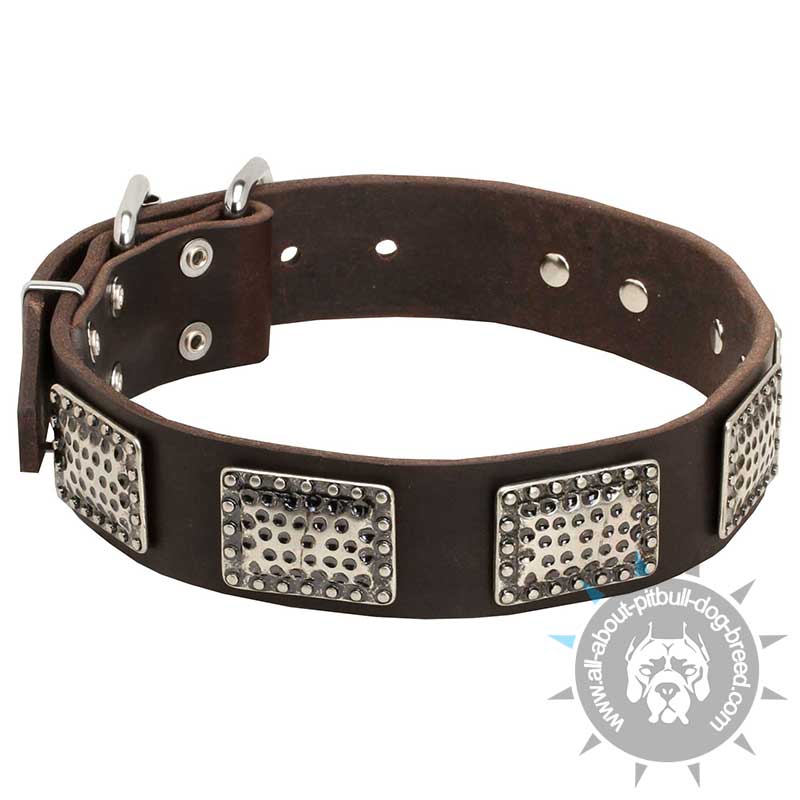 War Style Dog Leather Collar Decorated with Nickel Plates
