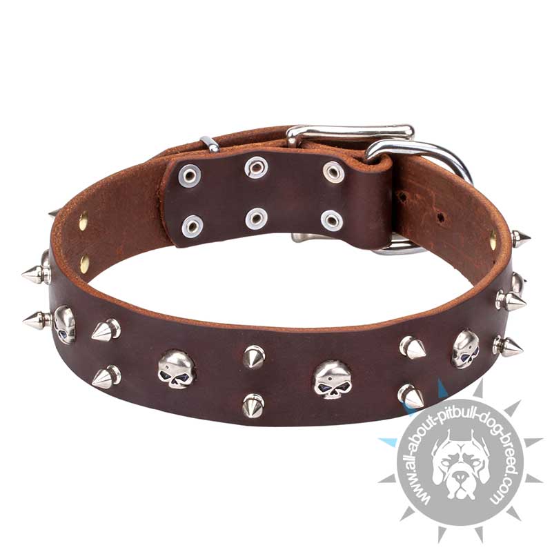 "Blackbeard" Leather Collar Decorated with Skulls and Spikes