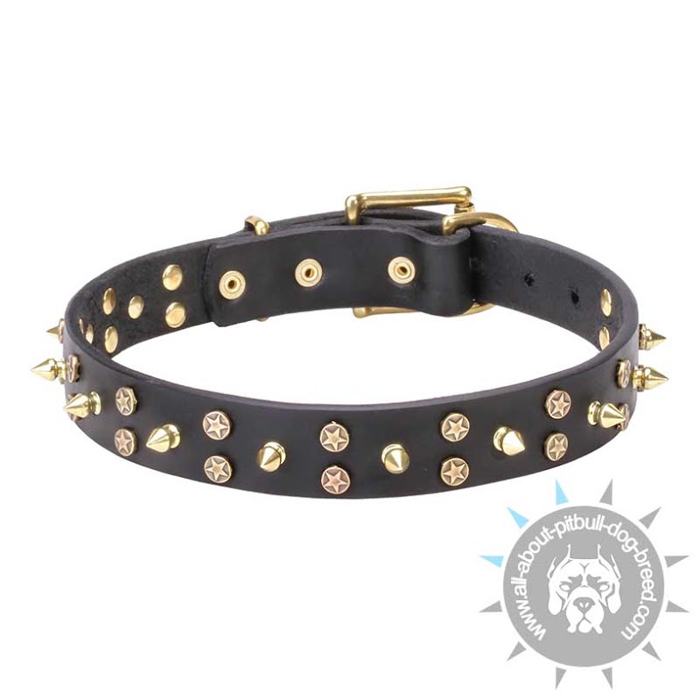 "Space Travel" Leather Collar with Brass Stars and Spikes
