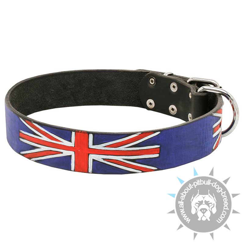 'Union Jack' Leather Pitbull Collar with Handmade Painting