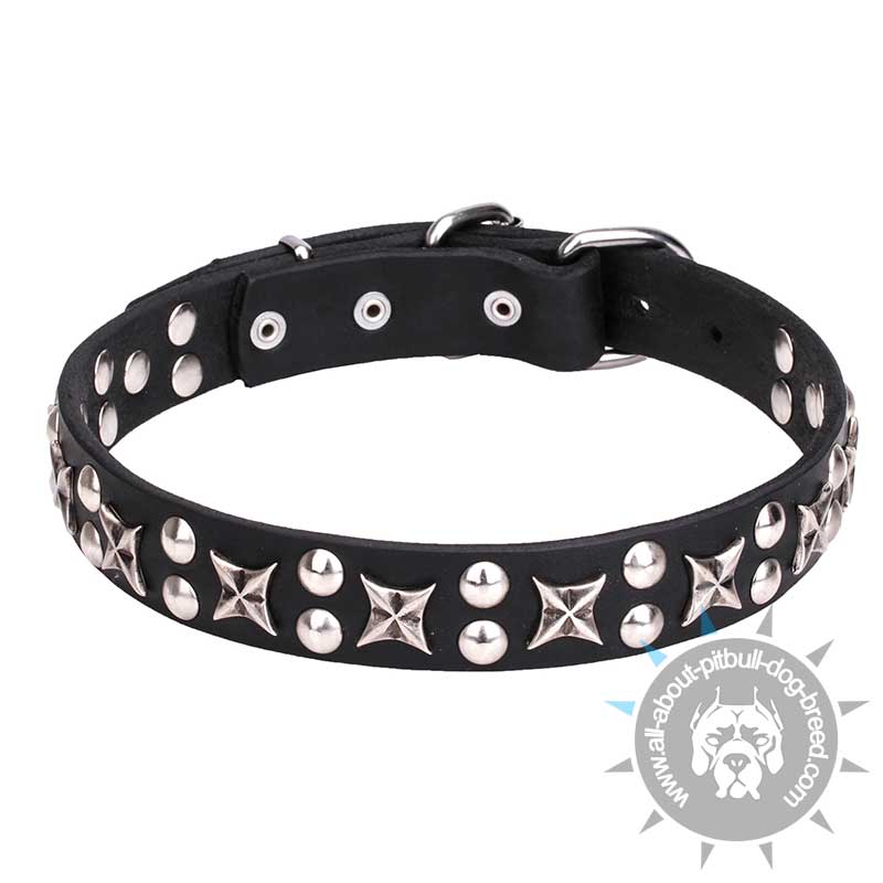 "Planets and Stars" 1 1/5 inch (30mm) Leather Pitbull Collar with Chrome Plated Decor