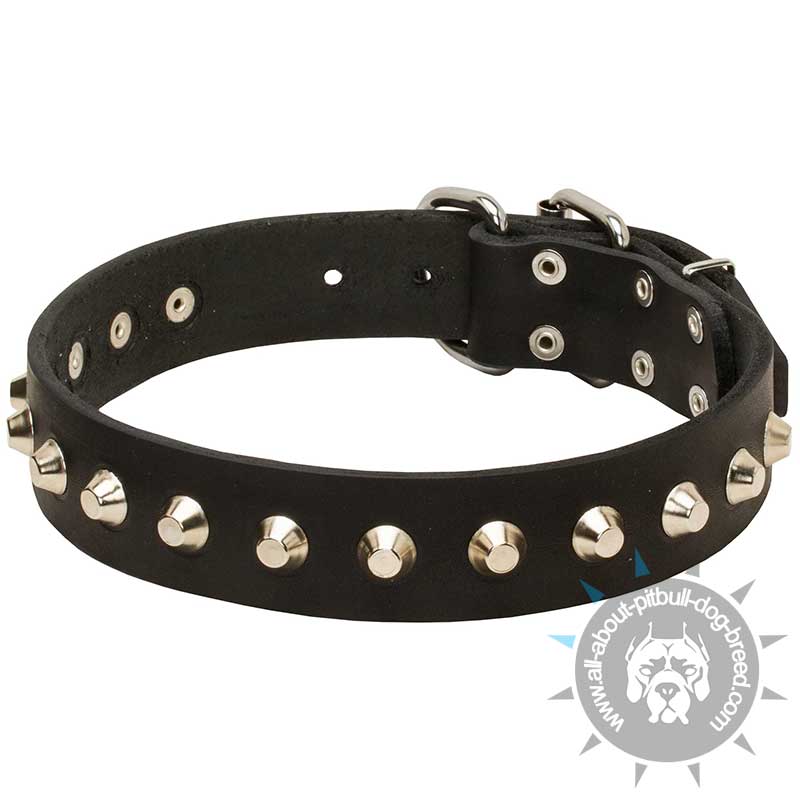 "Daily Elegance" Leather Pitbull Collar with Pyramids