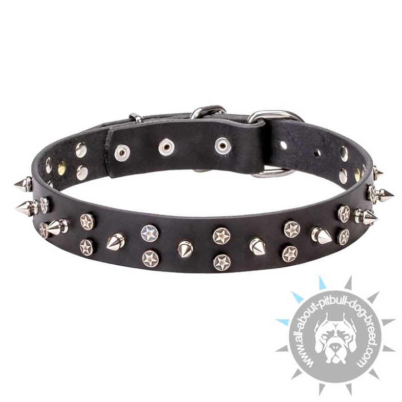 "Star-studded Sky" Pitbull Leather Collar with Chrome Plated Decorations