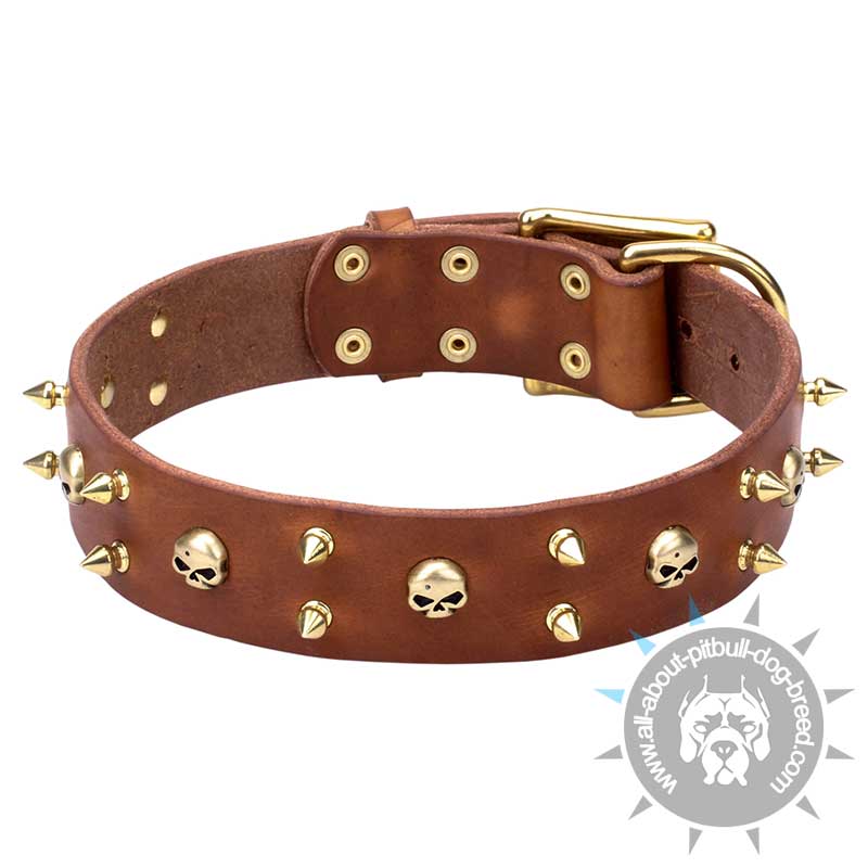 'Hard Rock' Wide Leather Collar with Brass Spikes and Skulls
