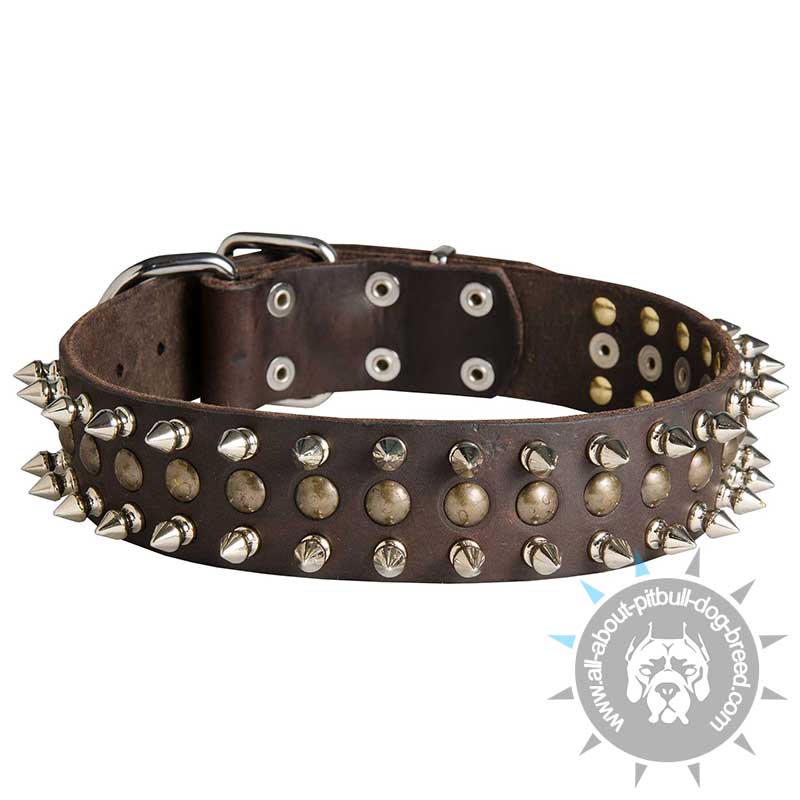 Spiked and Studded Leather Collar for Pitbull Walking