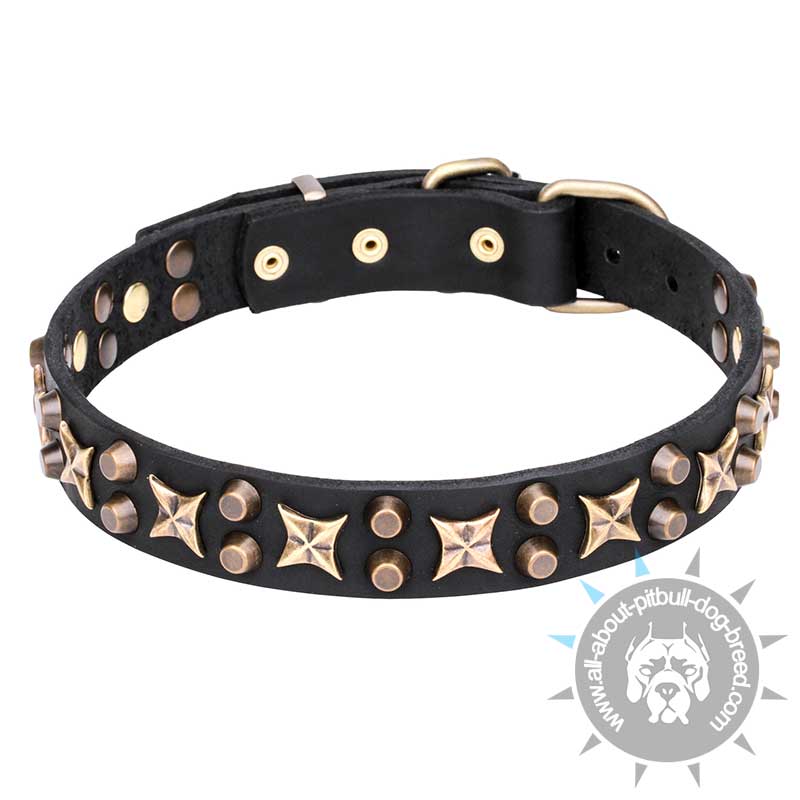 'Hollywood Star' Leather Pitbull Collar with Old Bronze Plated decor