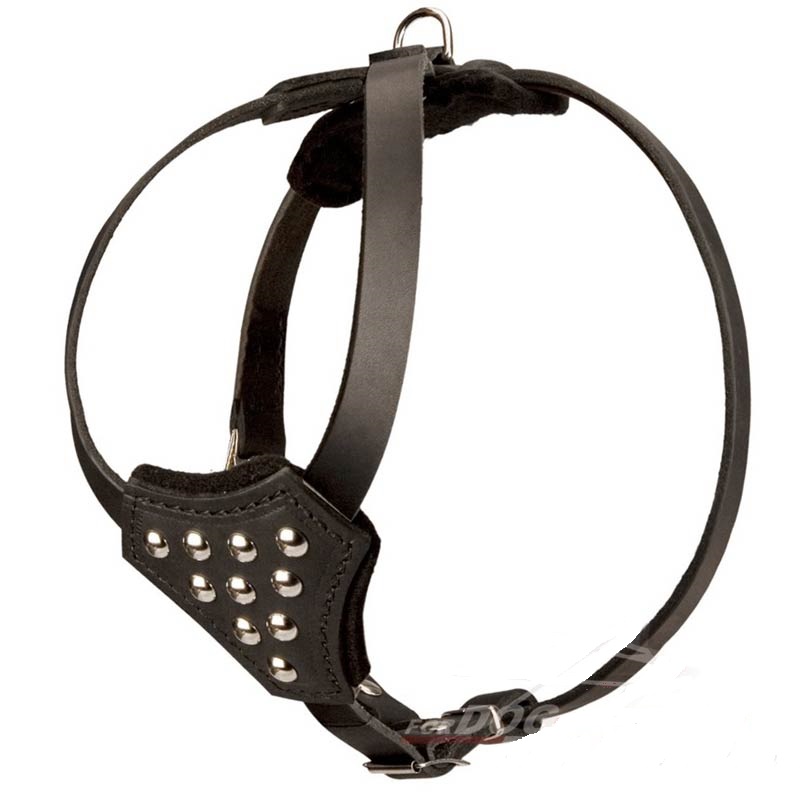 Stylish Leather Puppy Harness for Comfortable Walks