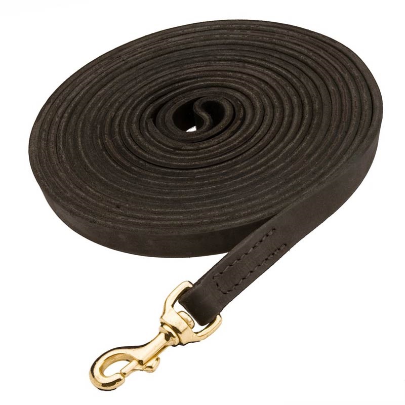 Universal Leather Lead for Pulling Activities