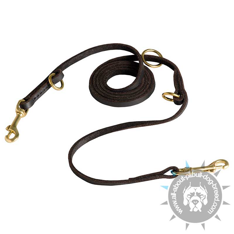 3/8 inch Leather Dog Leash - Multifunctional Leather Leash for Pitbull