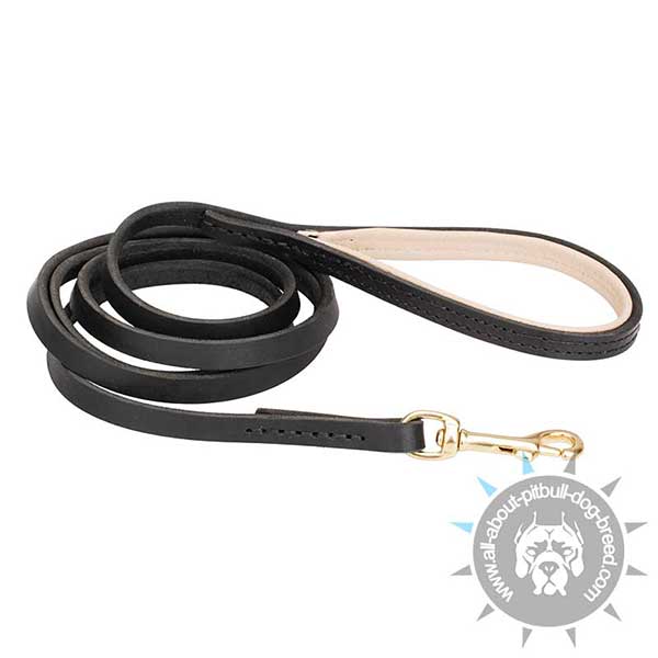 Handcrafted Stitched Leather Dog Leash with Padded Handle