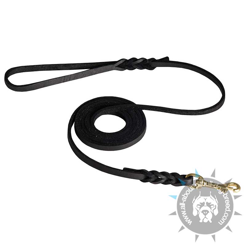 Braided Leather Leash for Pitbull