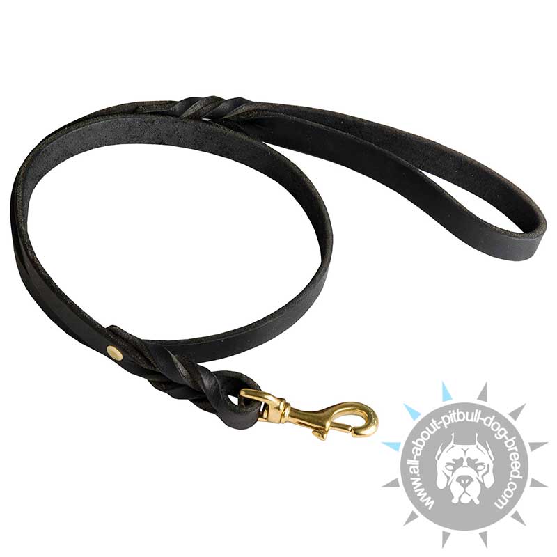 Handcrafted Leather Braided Leash 20mm for Pitbull