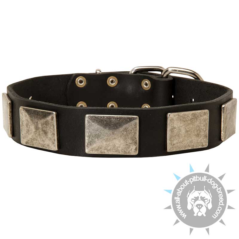 Handcrafted Leather Pitbull Collar with Vintage Massive Decor