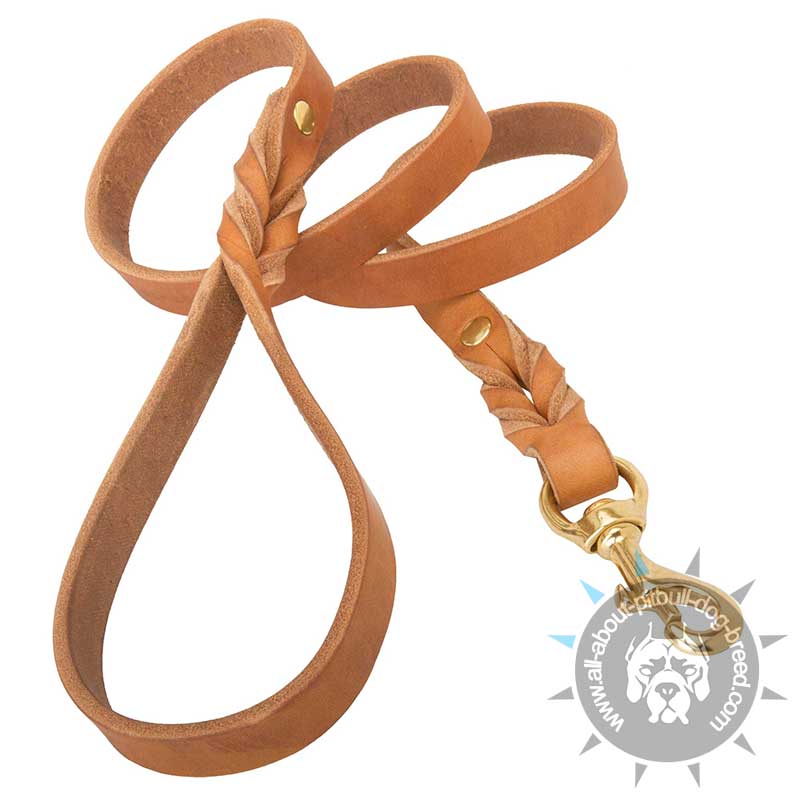 Soft Premium Leather Leash with Braided Ends for Pitbull