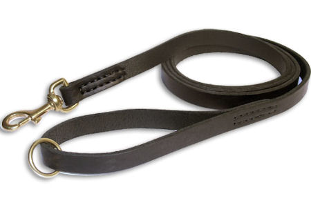 Leather Rescue Leash 3/4 inch on 6 FOOT for Pitbull - Click Image to Close
