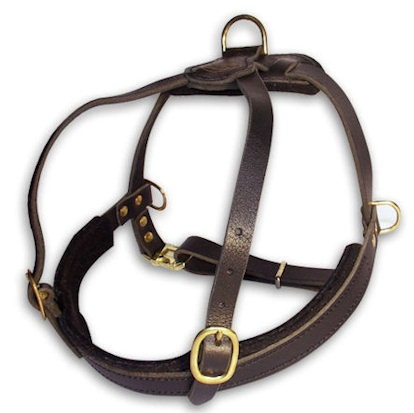Great Leather Roading Dog Harness for Pitbull