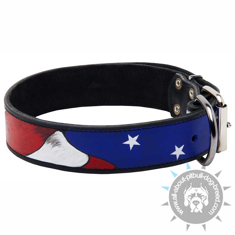 Hand painted by our artists leather dog collar - American Pride