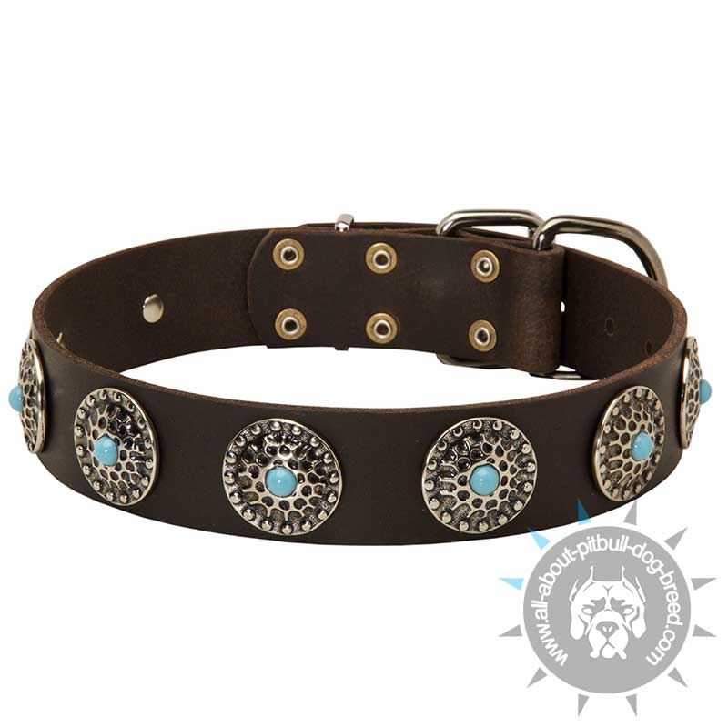 Leather Dog Collar with Silver Plated Circles and Blue Stones - Click Image to Close