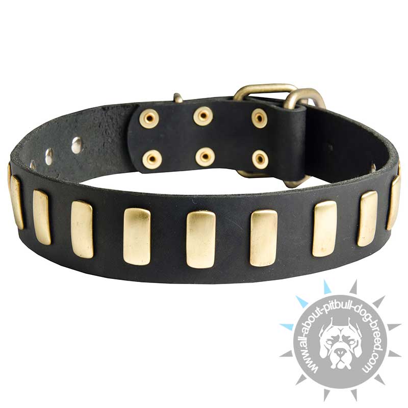 Handcrafted Leather Dog Collar For Large and Medium Breeds