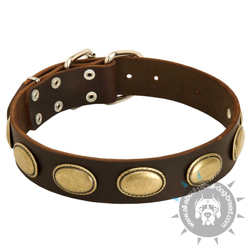 Retro Rulz - Gorgeous Vintage Dog Leather Collar