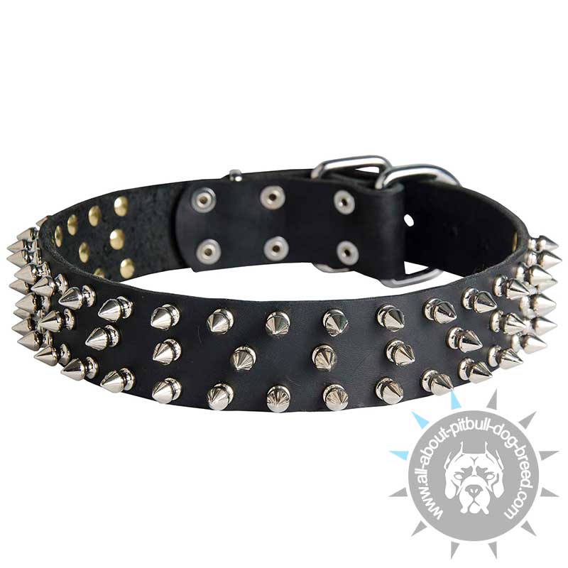 APBT Leather Spiked Dog Collar for Walking in Style