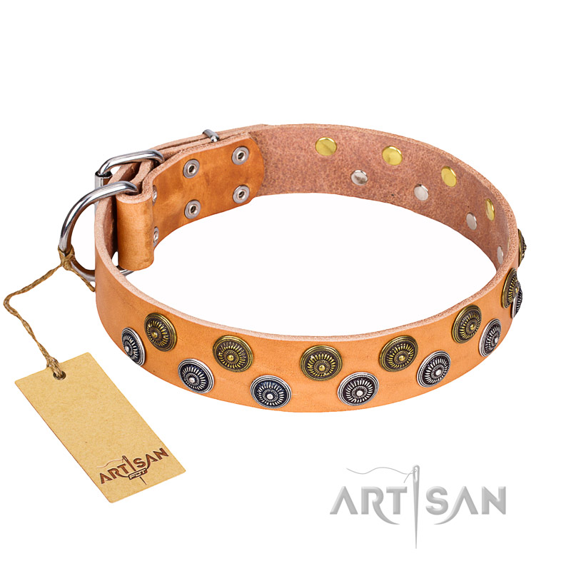 "Precious Sparkle" FDT Artisan Adorned Leather Pitbull Collar - 1 1/2 inch (40 mm) wide